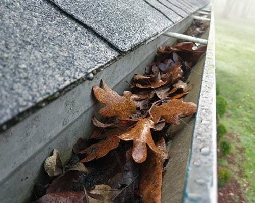 Gutter full of Fall leaves